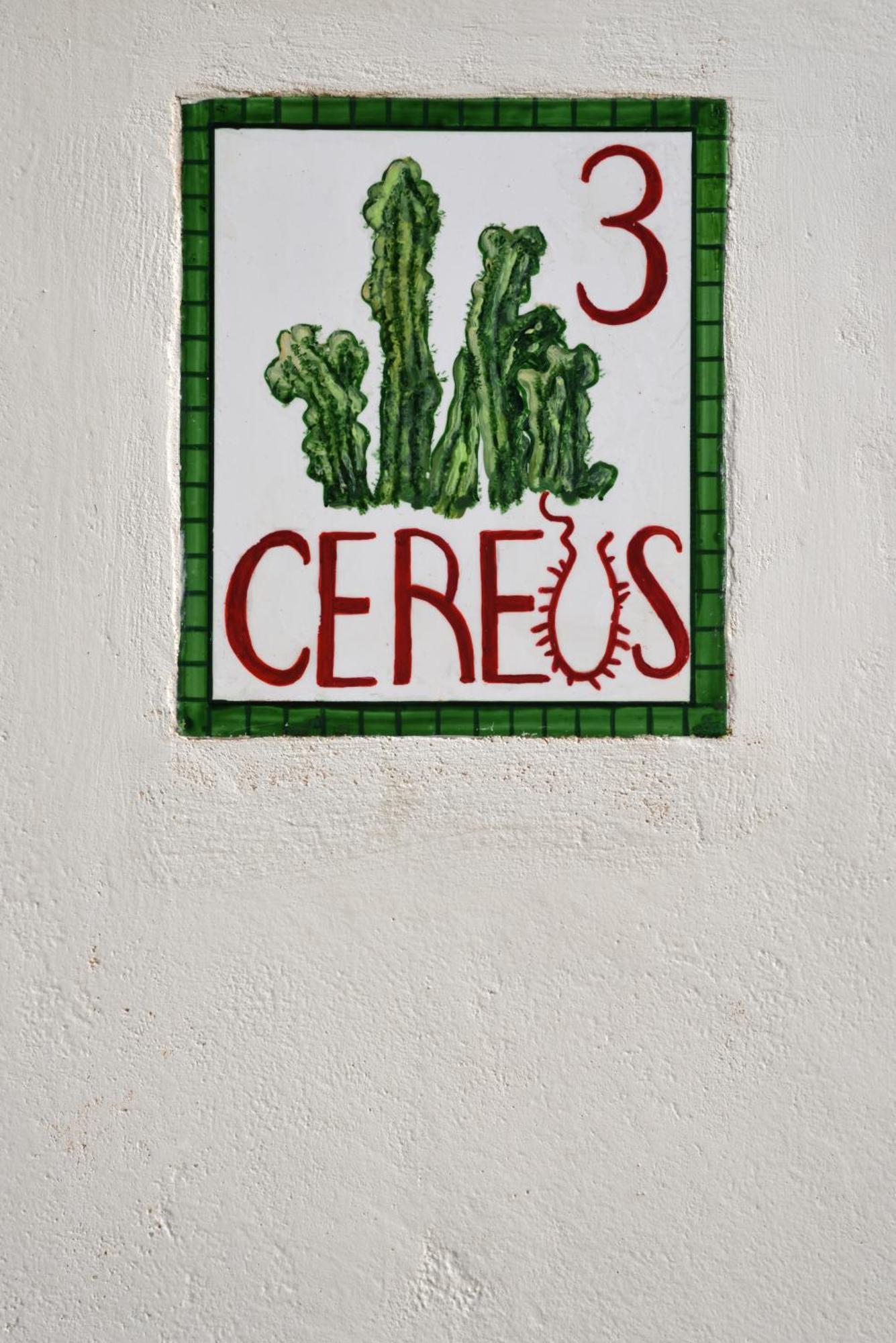 Cactus Hydra - Art Apartments 客房 照片